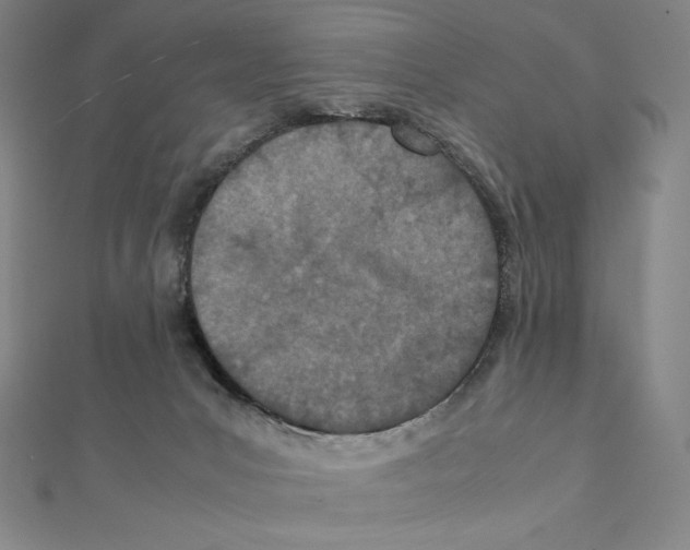 X0000111430031200908241131