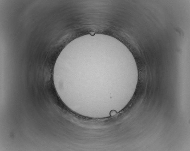 X0000111430032200908241131