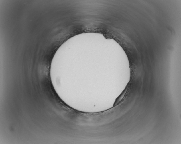 X0000111430033200908241131