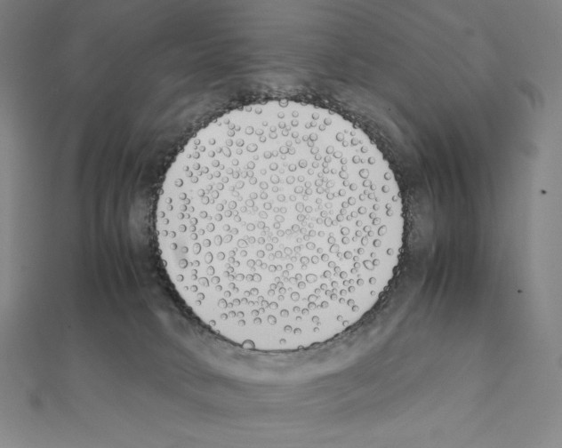 X0000111430034200908241131