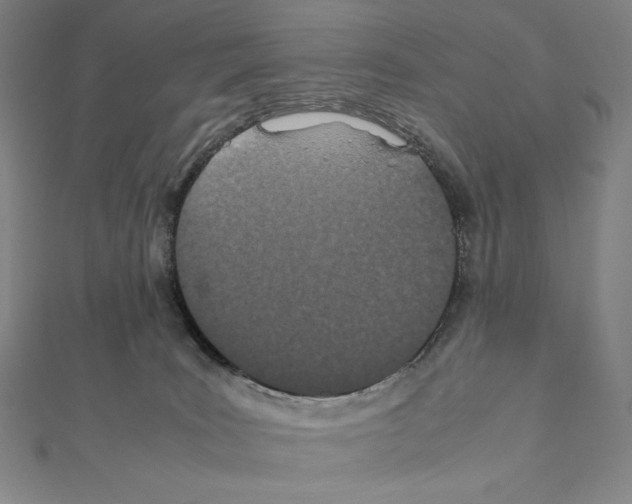 X0000111430035200908241131