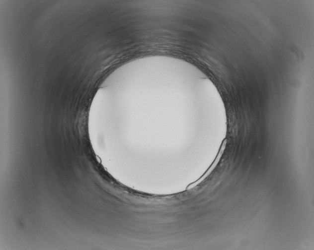 X0000111430036200908241131