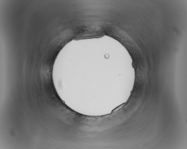 X0000111430037200908241131