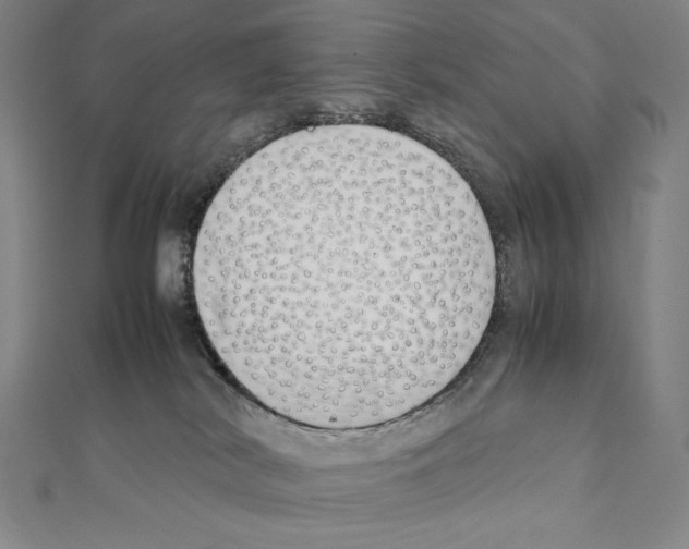 X0000111430038200908241131