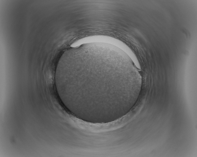 X0000111430039200908241131