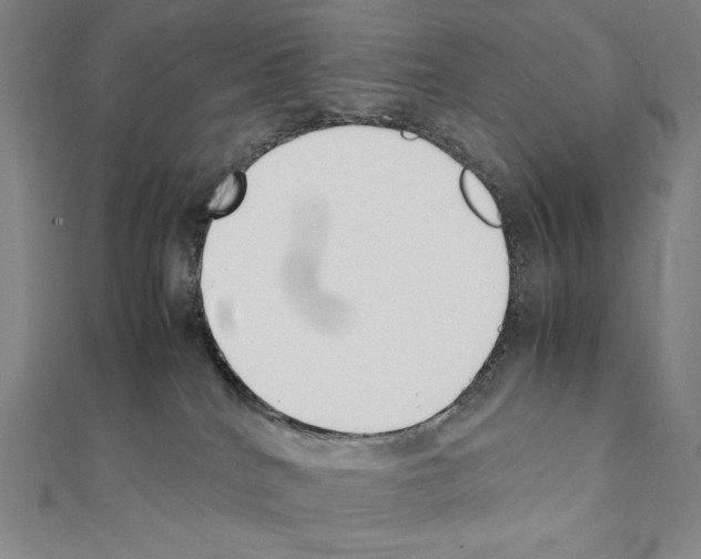 X0000111430040200908241131