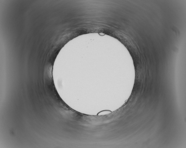 X0000111430041200908241131