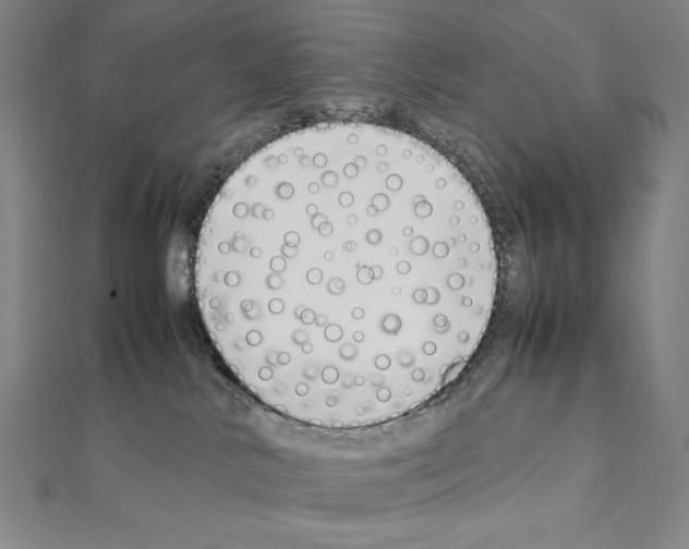 X0000111430042200908241131