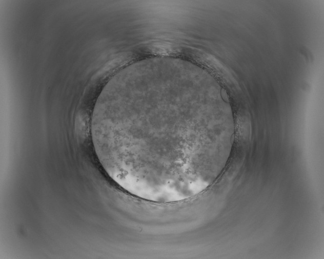 X0000111430043200908241131