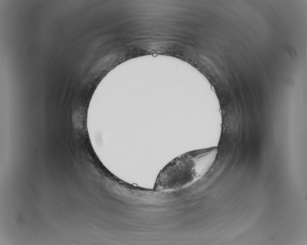 X0000111430044200908241131