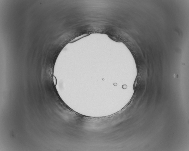 X0000111430045200908241131