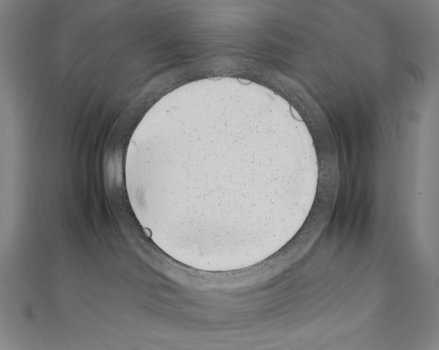 X0000111430046200908241131