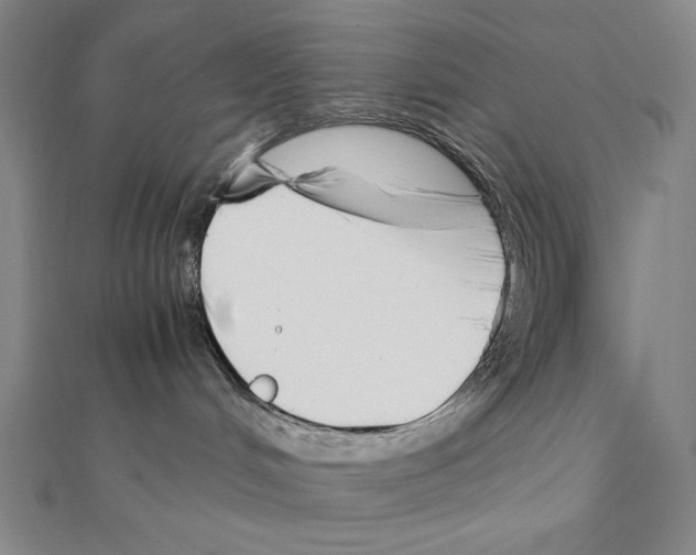 X0000111430048200908241131