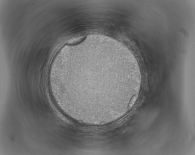 X0000111430049200908241130