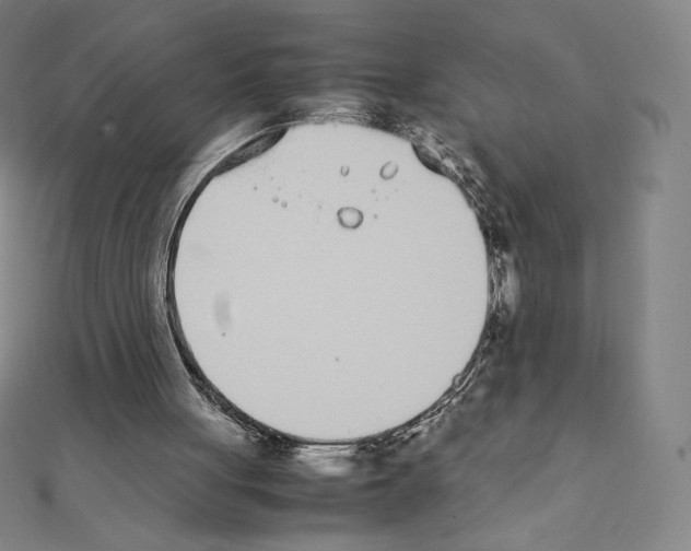 X0000111430051200908241130