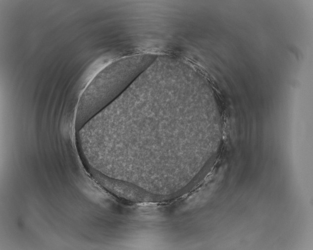 X0000111430052200908241130