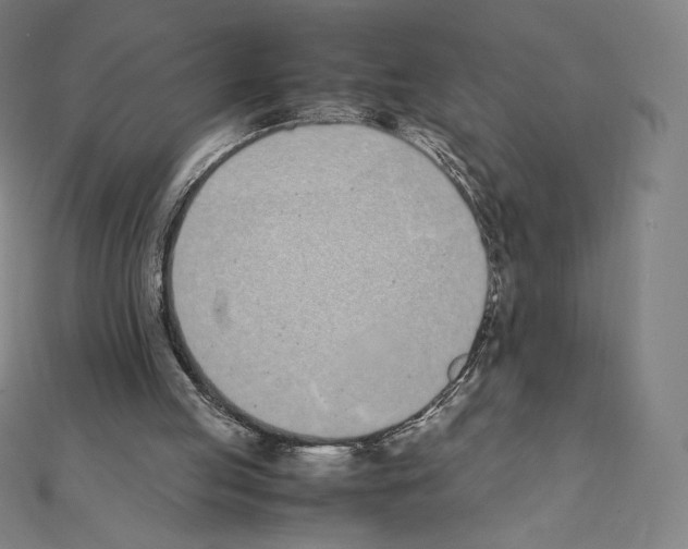 X0000111430053200908241130