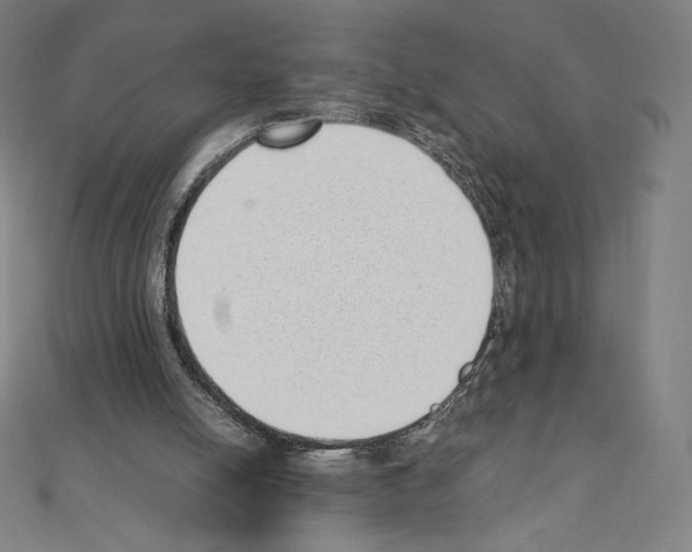 X0000111430054200908241130