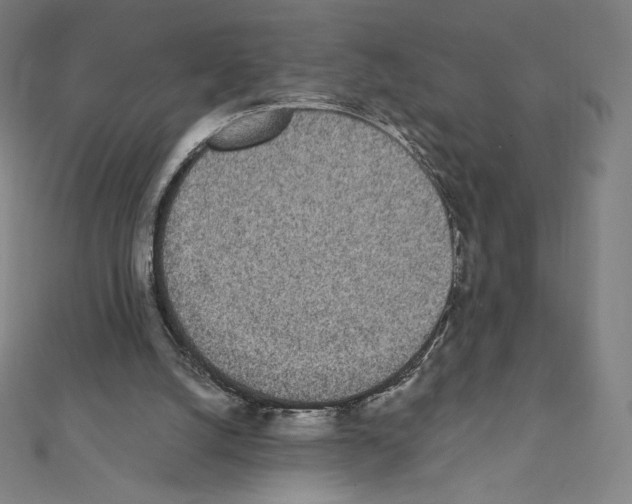 X0000111430056200908241130