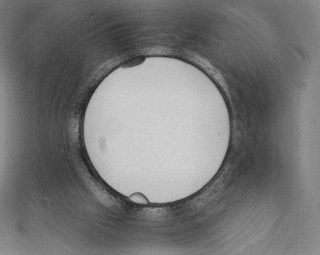 X0000111430057200908241130