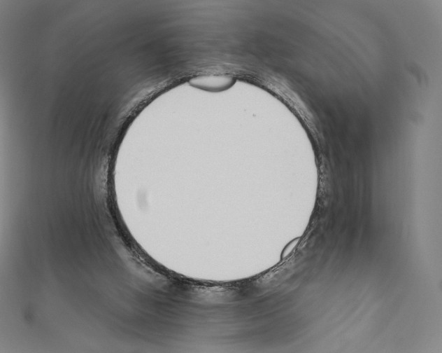 X0000111430058200908241130