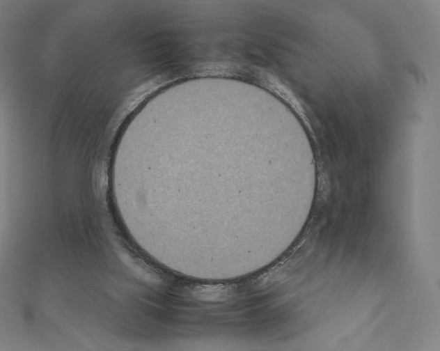 X0000111430059200908241130