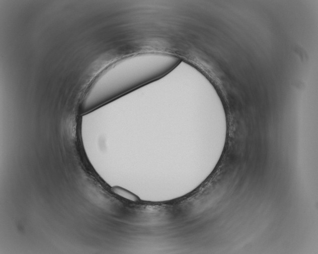 X0000111430060200908241130