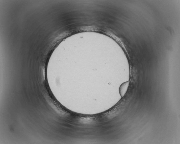 X0000111430061200908241130