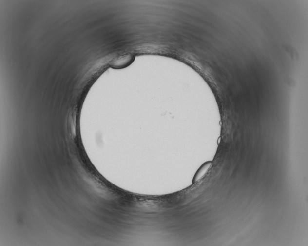 X0000111430062200908241130