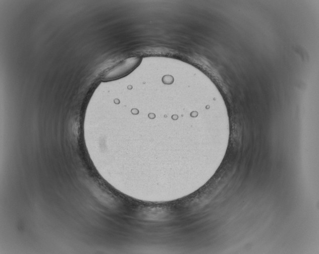 X0000111430063200908241130