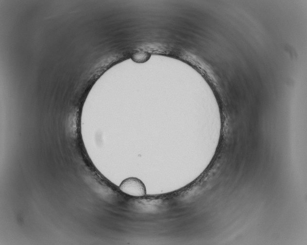 X0000111430065200908241130