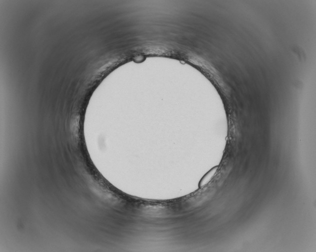 X0000111430066200908241130