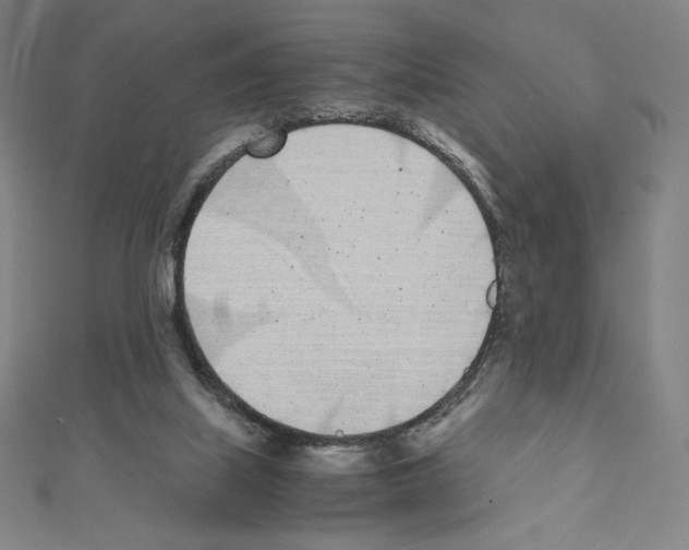 X0000111430067200908241130