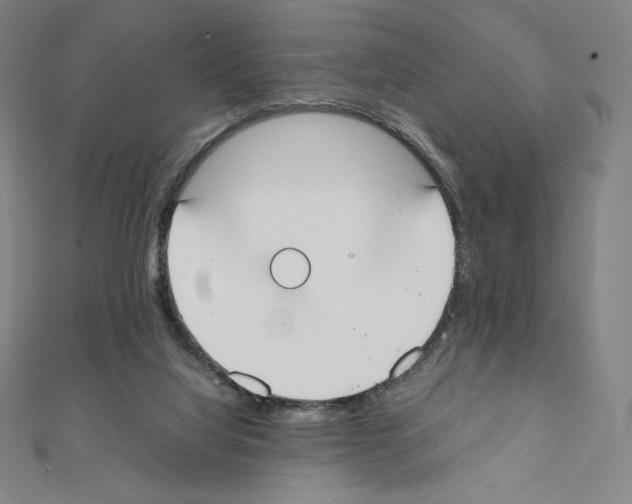 X0000111430068200908241130