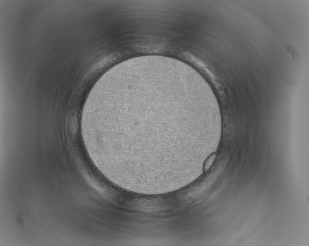 X0000111430069200908241130