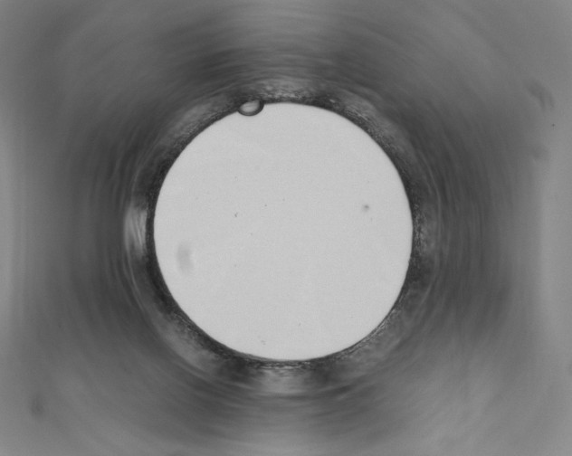 X0000111430070200908241130