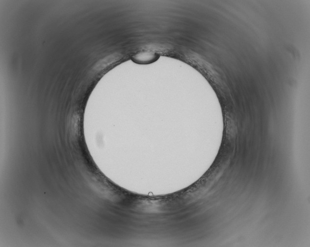 X0000111430071200908241131