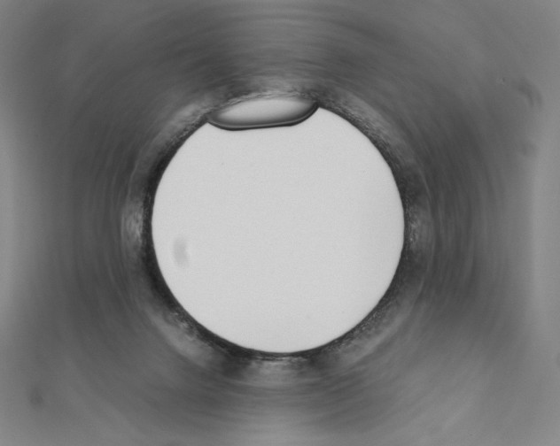 X0000111430072200908241131