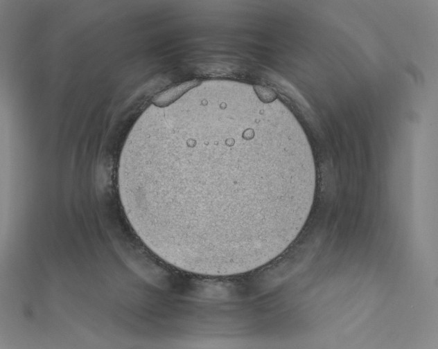 X0000111430073200908241131