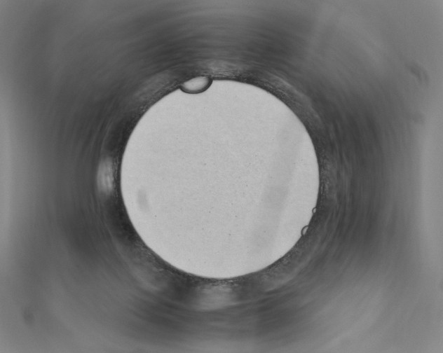X0000111430075200908241131