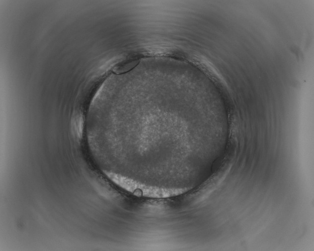 X0000111430076200908241131
