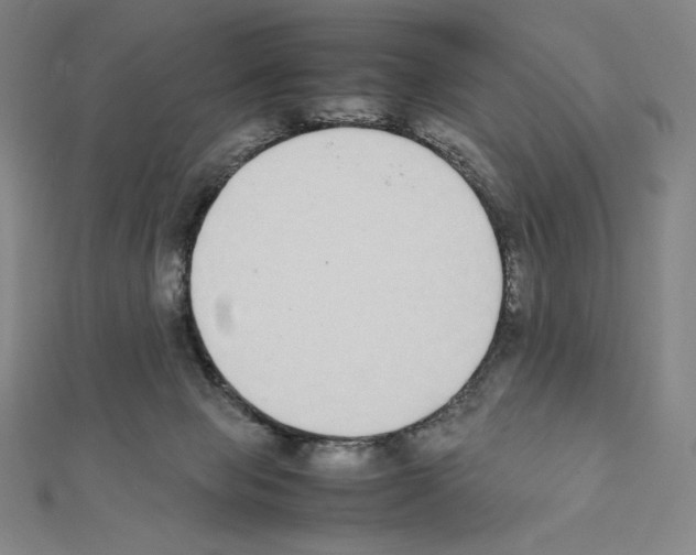 X0000111430077200908241131