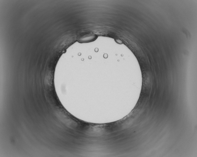 X0000111430078200908241131