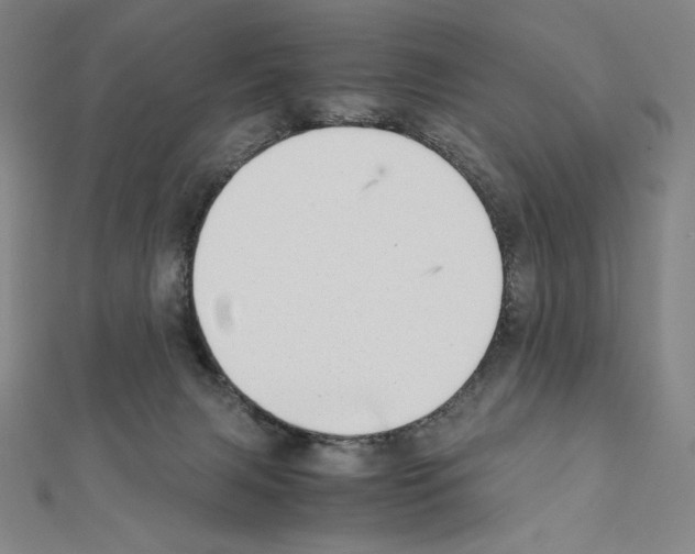 X0000111430079200908241131