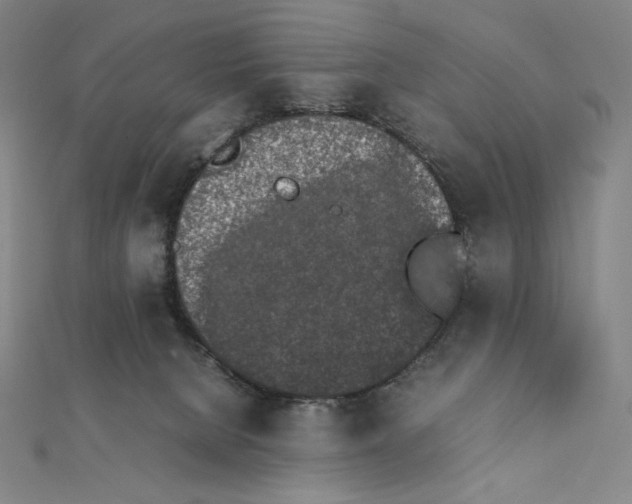 X0000111430080200908241131