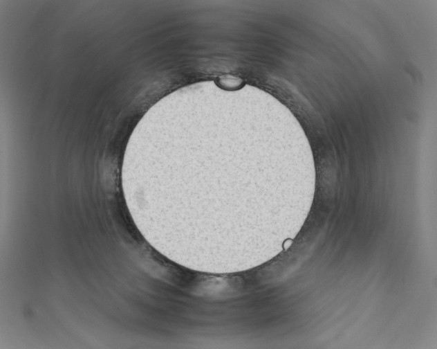 X0000111430083200908241131