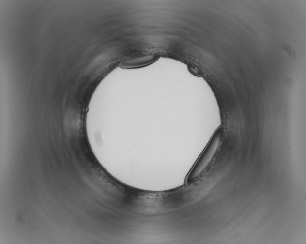 X0000111430084200908241131