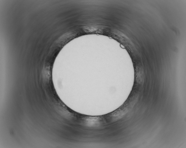 X0000111430085200908241131