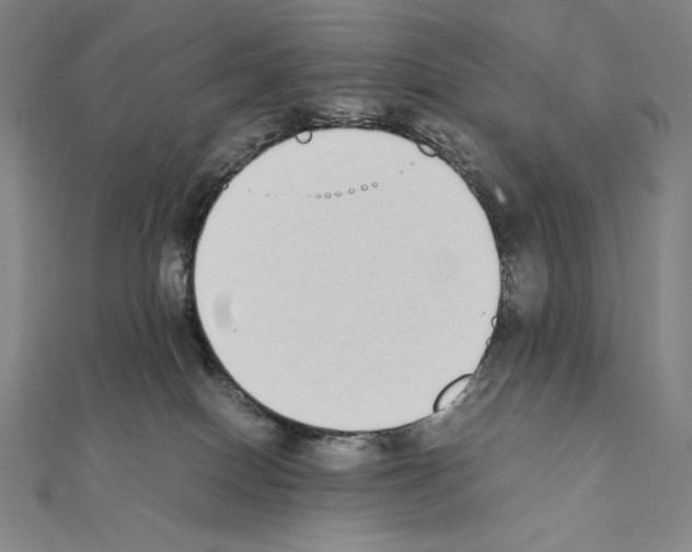 X0000111430086200908241131