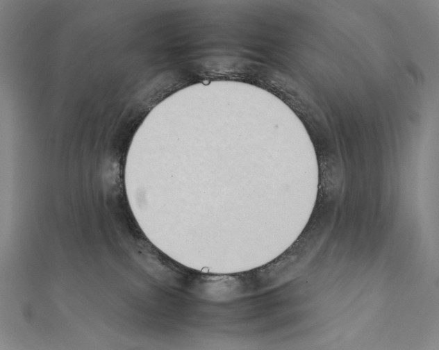 X0000111430087200908241131